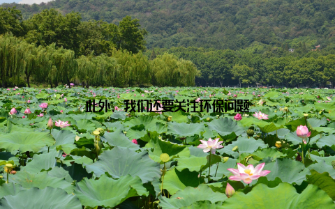 此外, 我们还要关注环保问题