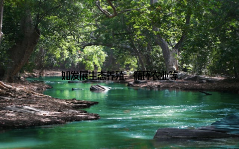 如发展生态养殖、循环农业等