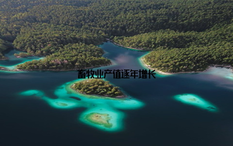 畜牧业产值逐年增长