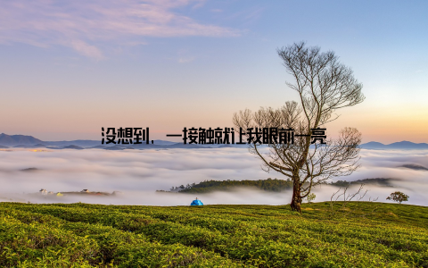 没想到, 一接触就让我眼前一亮