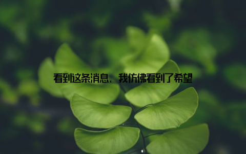 看到这条消息, 我仿佛看到了希望