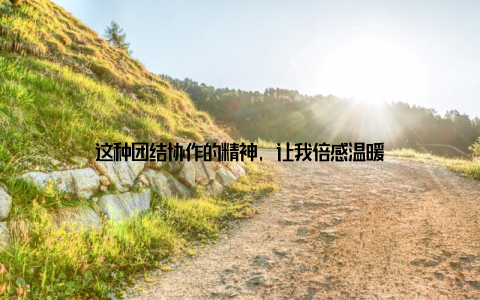 这种团结协作的精神, 让我倍感温暖