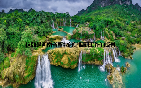 这就是河南省畜牧总站调研工作的场景