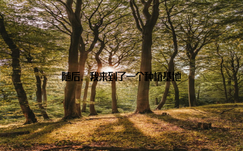 随后, 我来到了一个种植基地