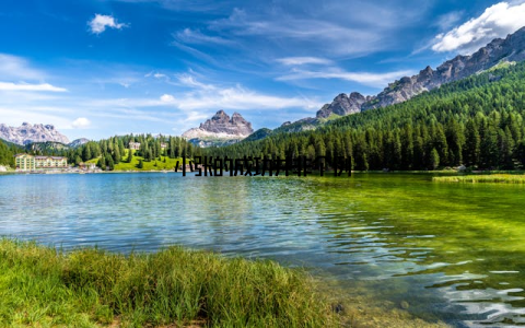小张的成功并非个例