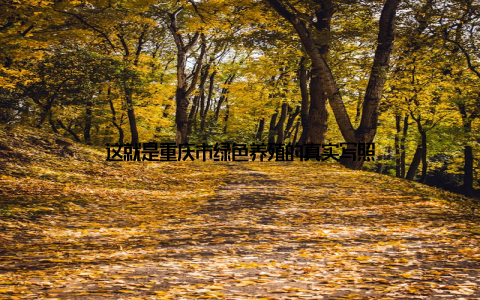 这就是重庆市绿色养殖的真实写照