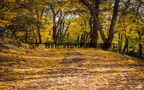 当然, 我们也深知环境保护的重要性