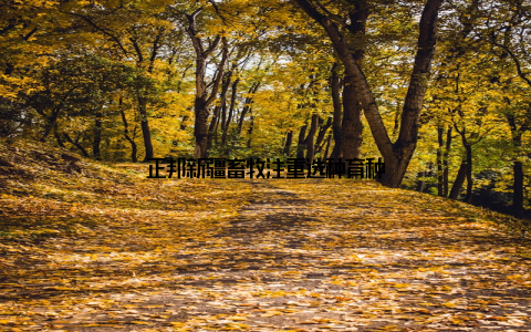 正邦新疆畜牧注重选种育种