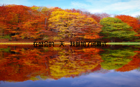 在盛会的一天, 我参加了闭幕式