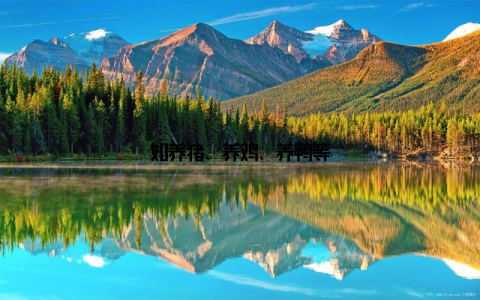 如养猪、养鸡、养鸭等