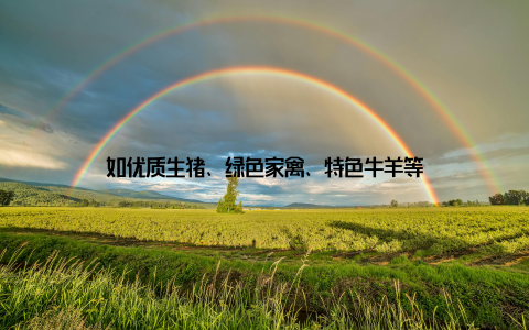 如优质生猪、绿色家禽、特色牛羊等