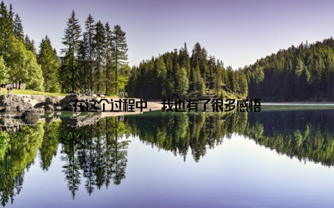 在这个过程中, 我也有了很多感悟