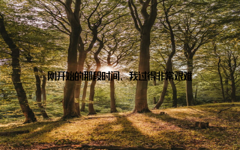 刚开始的那段时间, 我过得非常艰难