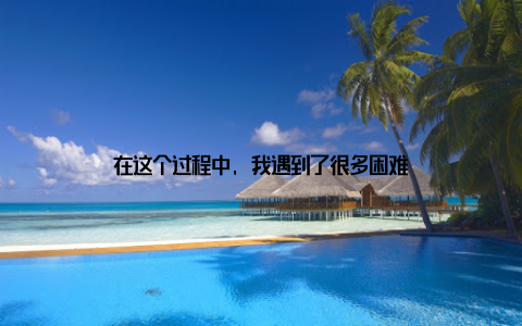 在这个过程中, 我遇到了很多困难