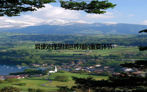 粪便处理是绿色养殖的重要环节