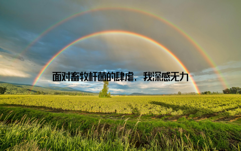 面对畜牧杆菌的肆虐, 我深感无力