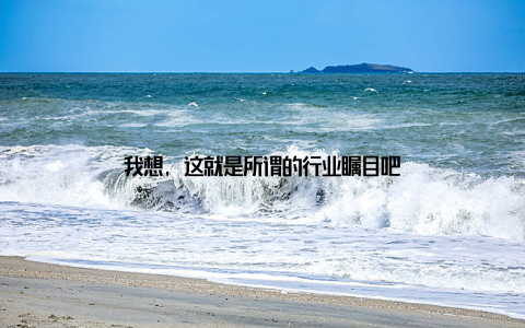 我想, 这就是所谓的行业瞩目吧