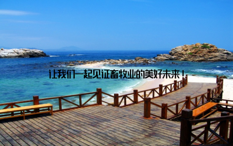 让我们一起见证畜牧业的美好未来!