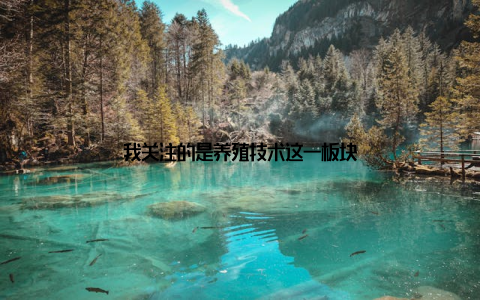 我关注的是养殖技术这一板块