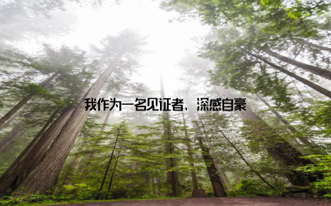 我作为一名见证者, 深感自豪