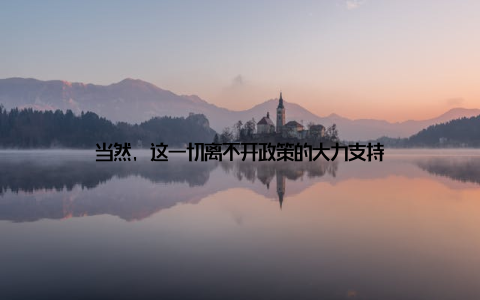 当然, 这一切离不开政策的大力支持