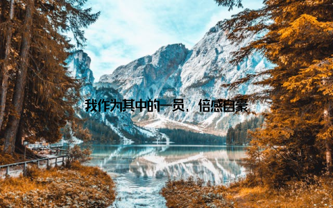 我作为其中的一员, 倍感自豪