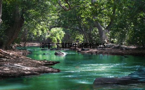 没错, 它就是中国畜牧市场