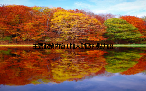 主要政策内容1加大财政补贴力度