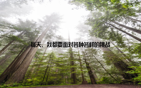 每天, 我都要面对各种各样的挑战
