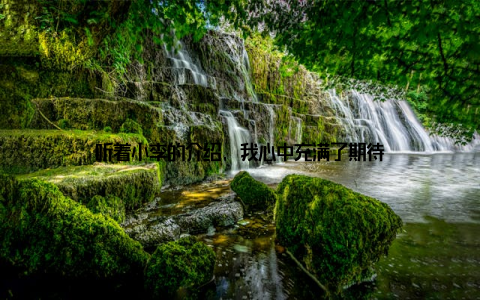 听着小李的介绍, 我心中充满了期待