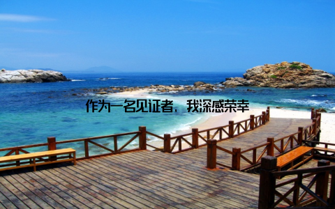 作为一名见证者, 我深感荣幸