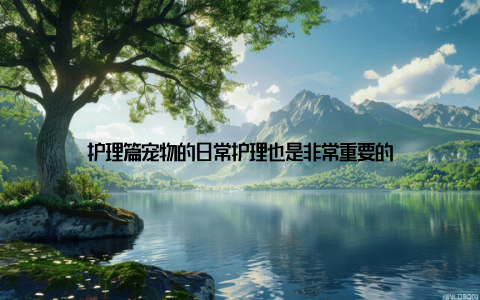 护理篇宠物的日常护理也是非常重要的