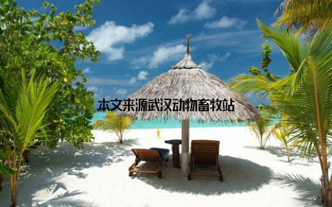 本文来源武汉动物畜牧站