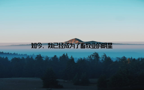 如今, 我已经成为了畜牧业的明星