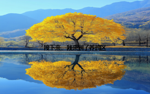 接下来, 我来到了养鸡区