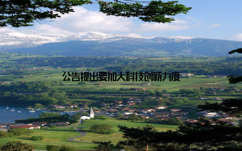 公告提出要加大科技创新力度