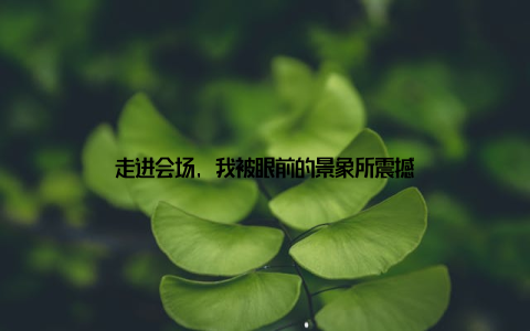 走进会场, 我被眼前的景象所震撼