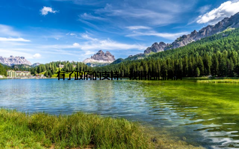 有了政府的支持, 我们信心满满