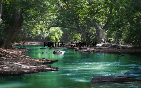 回顾过去, 我感慨万分