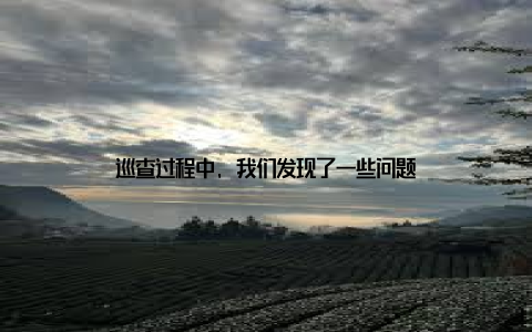 巡查过程中, 我们发现了一些问题
