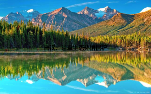 再次, 注重生态环境保护