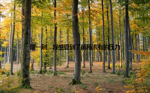 那一刻, 我感受到了前所未有的压力