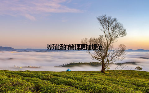 养殖场的管理更加规范