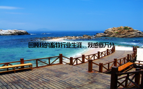 回顾我的畜牧行业生涯, 我感慨万分