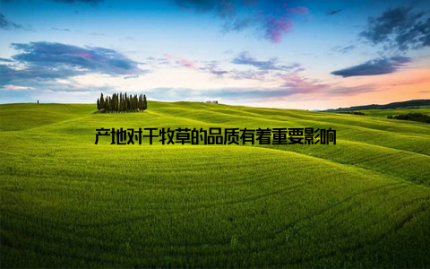 产地对于牧草的品质有着重要影响