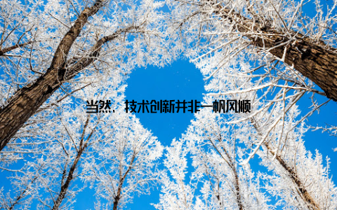 当然, 技术创新并非一帆风顺