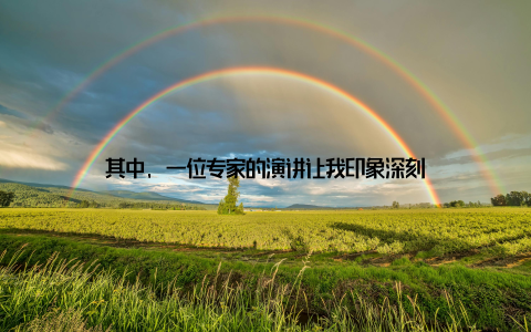 其中, 一位专家的演讲让我印象深刻