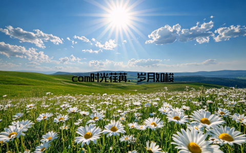 com时光荏苒, 岁月如梭