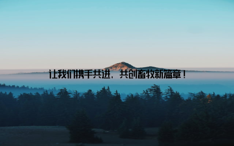 让我们携手共进, 共创畜牧新篇章!