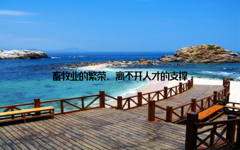 畜牧业的繁荣, 离不开人才的支撑